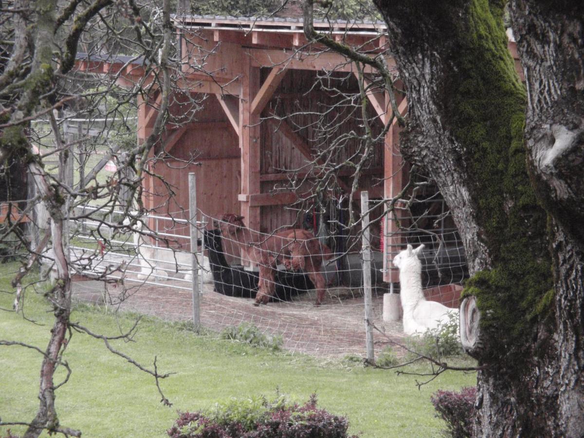 Pension Alpenhaus Vorderstoder Exterior photo