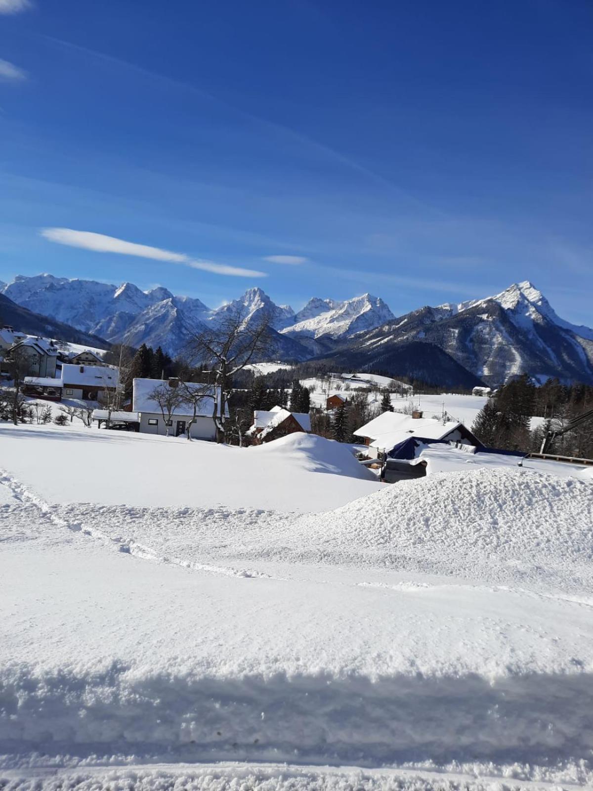 Pension Alpenhaus Vorderstoder Exterior photo